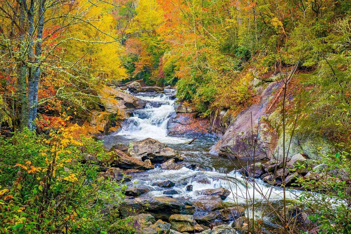 A serene outdoor scene featuring a stream of flowing water, surrounded by vibrant, colorful foliage and natural rock formations. The area invites relaxation and provides an appealing glimpse of local nature, making it ideal for leisurely strolls or peaceful moments of reflection.