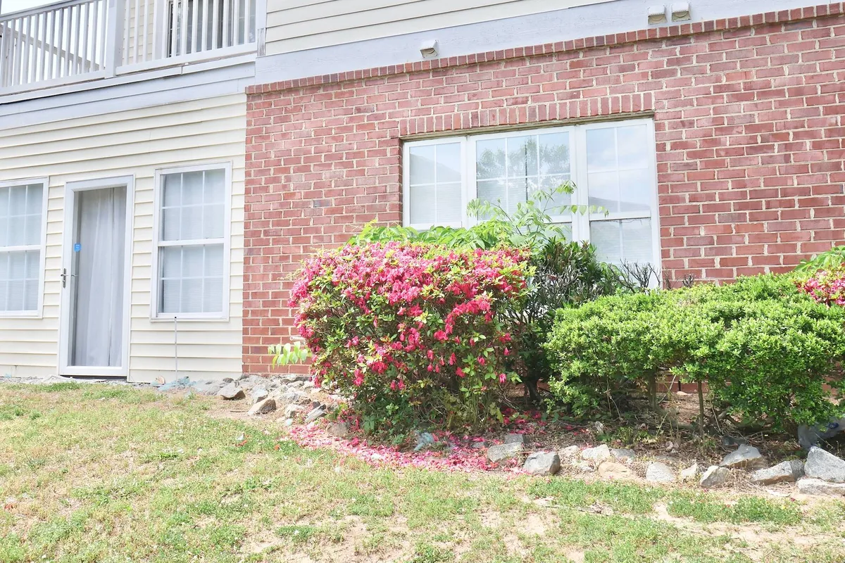 A cheerful, exterior vignette showing flowering bushes, a brick wall, and a doorway. The scene radiates a sense of relaxation and the enjoyment of outdoor living, perfect for morning coffee or evening gatherings in the fresh air.